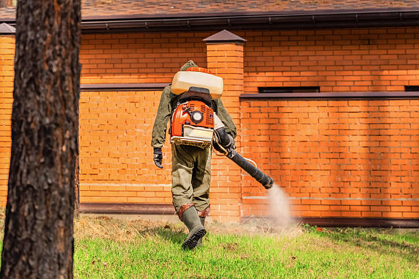Bed Bug Clearance Verification and Documentation in Kings Park West